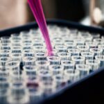 Functional Medicine Testing: 6 Types of Tests You Need